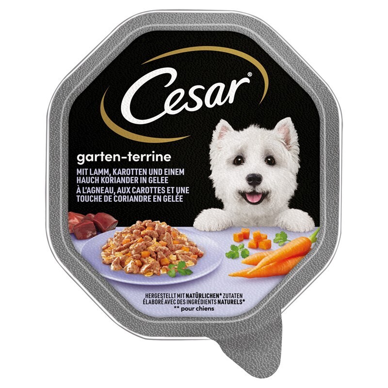 Cesar Hundenassfutter Cesar Garten-Terrine 14x150g Lamm, Karotten & Koriander