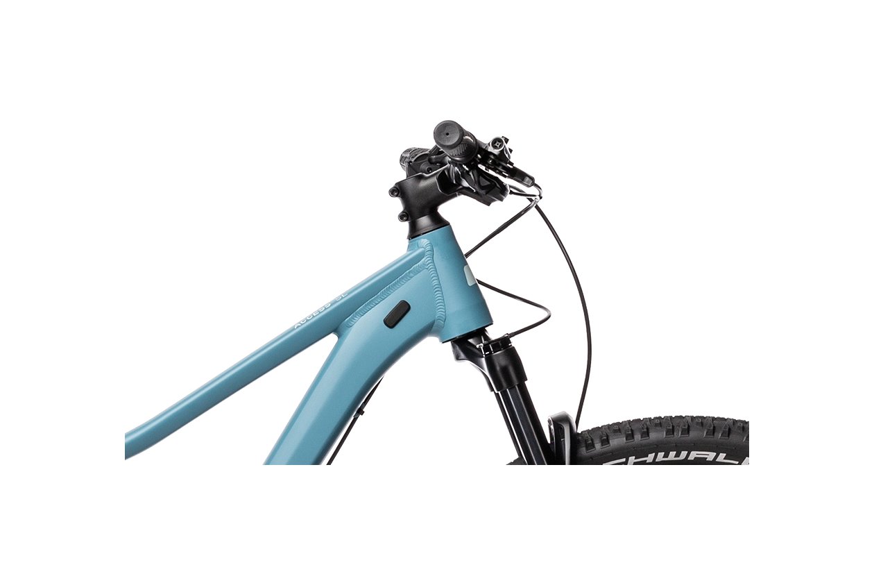Cube Access WS SL - 2021 - 29 Zoll - Diamant
