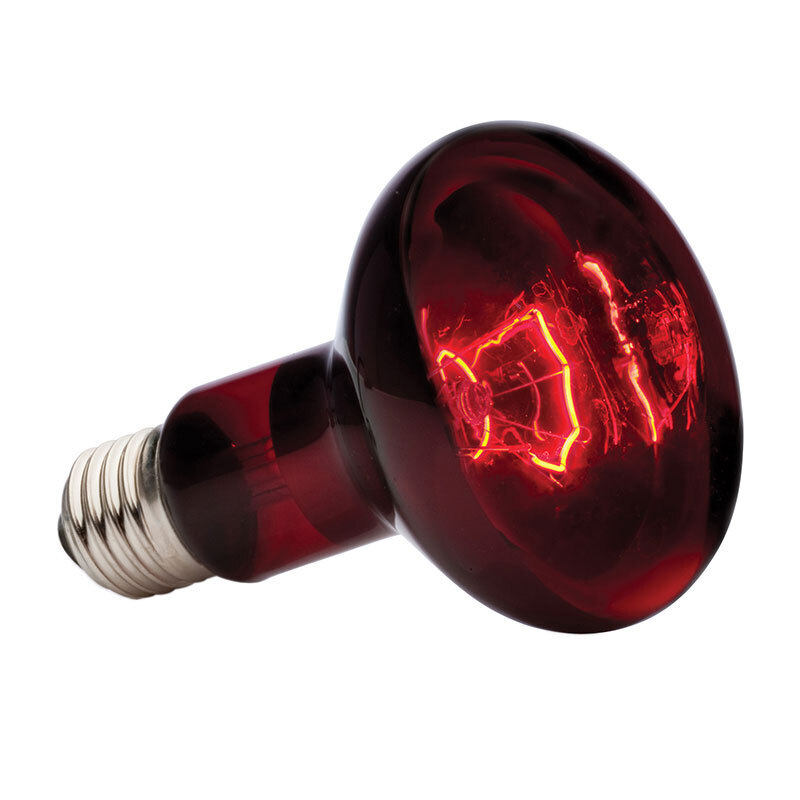 Hagen Wärmequellen Hagen Exo Terra Infrarot-Spotlampe Heat GL 100 W