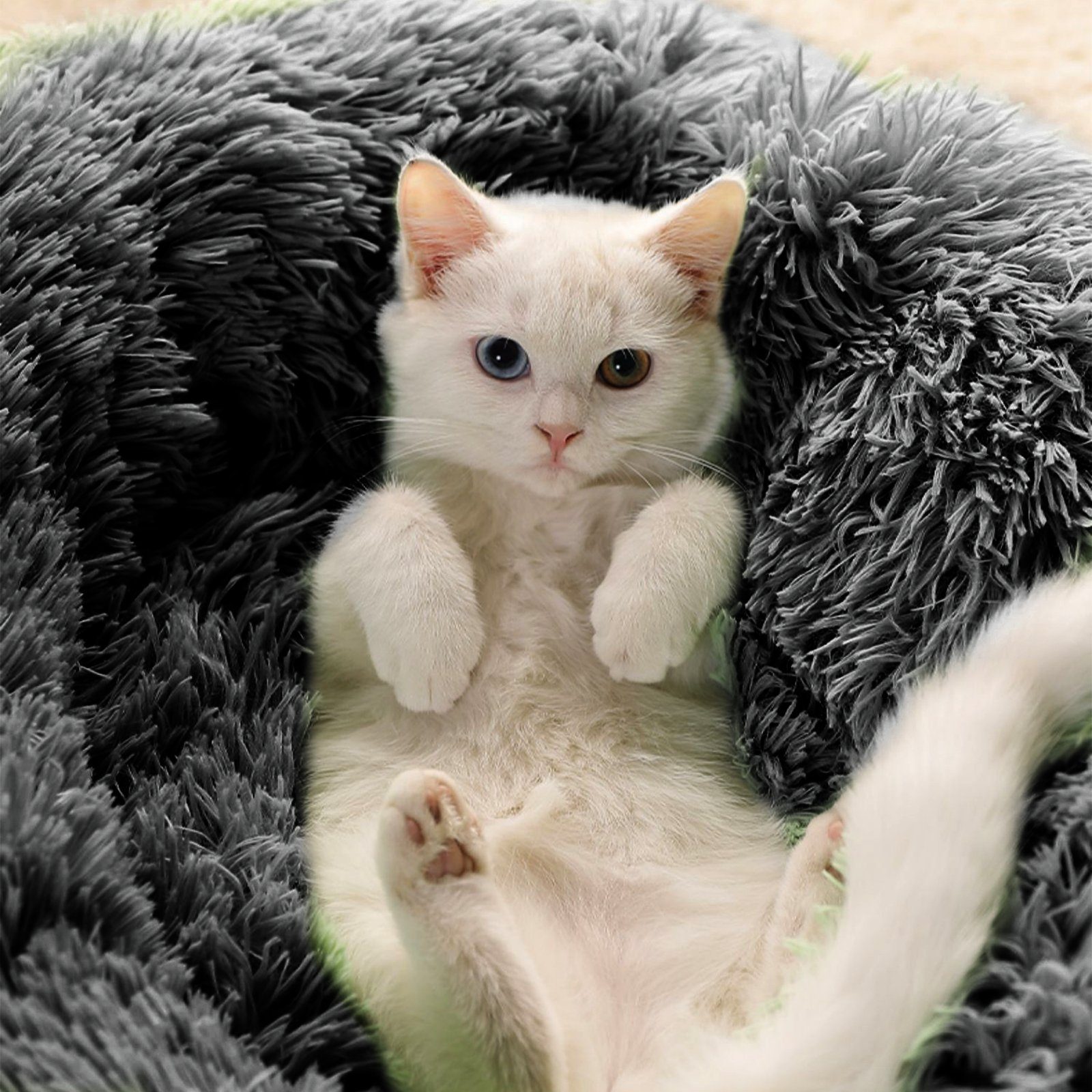 CALIYO Tierbett Tierbetten 100 cm, Waschbar Flauschiges Hundebett Katzenbett, Waschbar Hundesofa Tierbetten für Kleine, Mittelgroße Hunde, Katzen