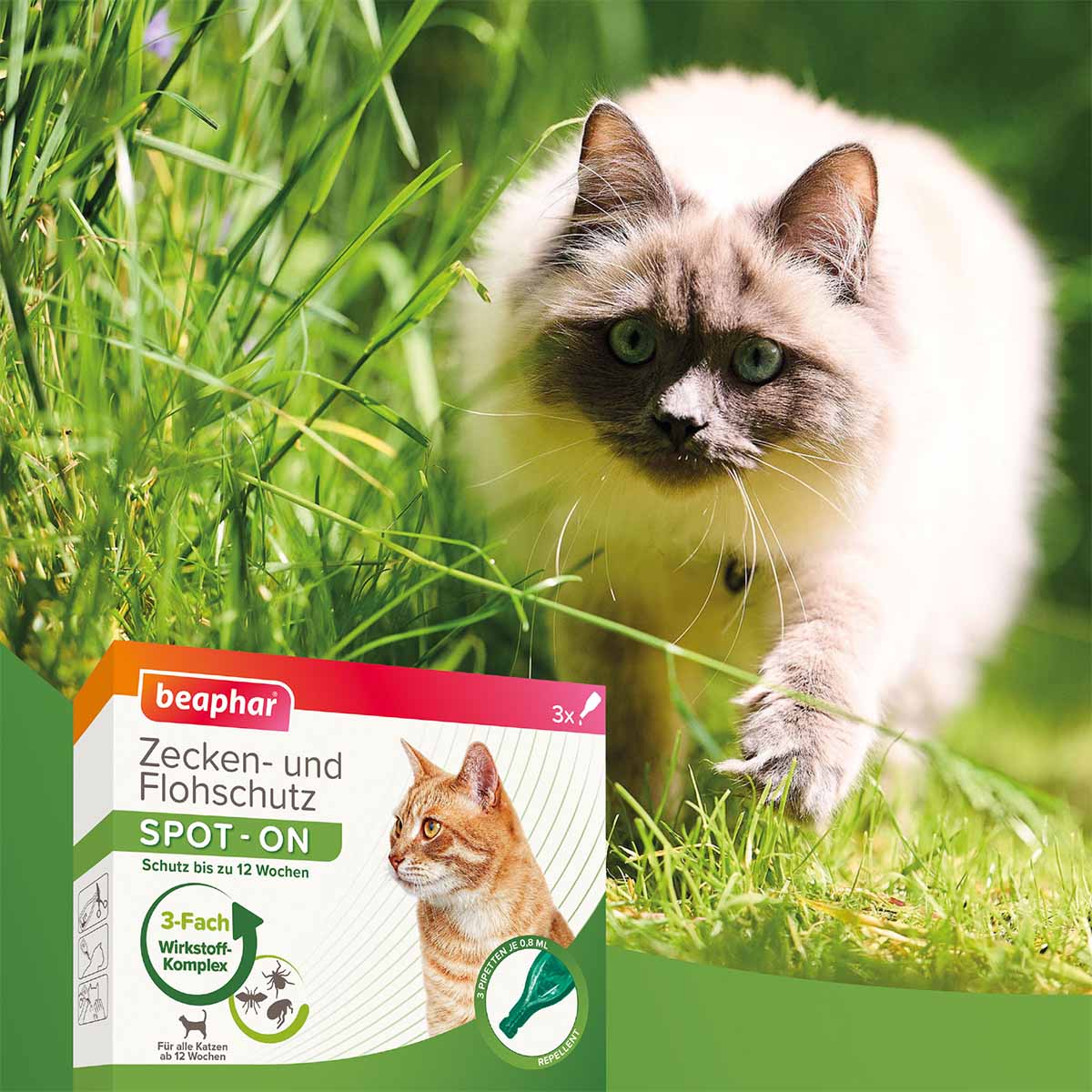 beaphar Zecken- & Flohschutz SPOT-ON für Katzen + Zeckenstift gratis