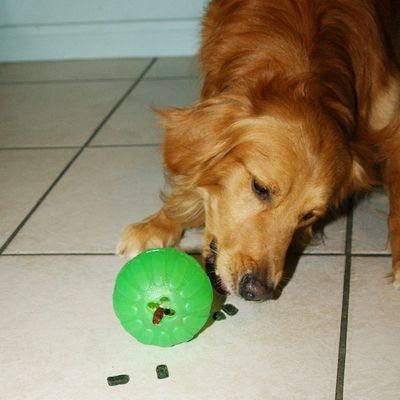 Starmark Treat Dispensing Chew Ball