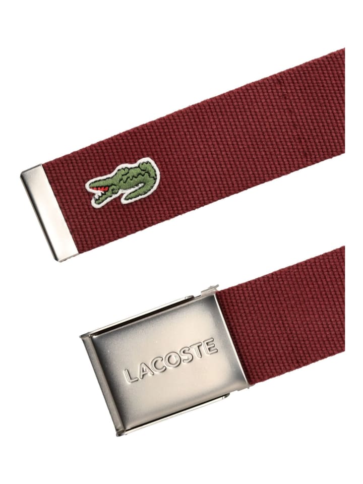 Lacoste Gürtel in Espresso günstig kaufen 110