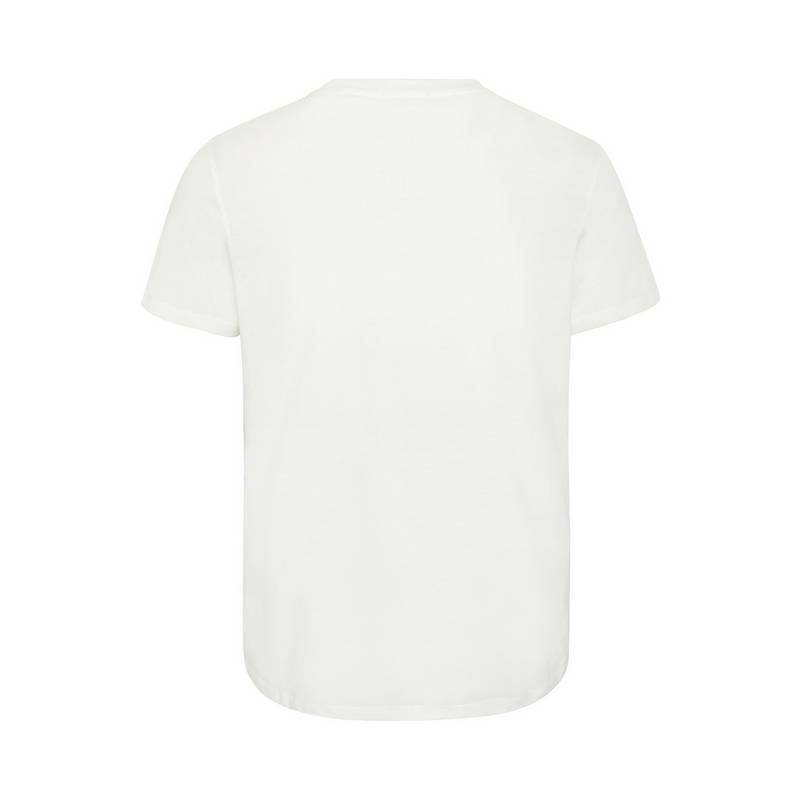 Chiemsee T-Shirt T-Shirt Herren