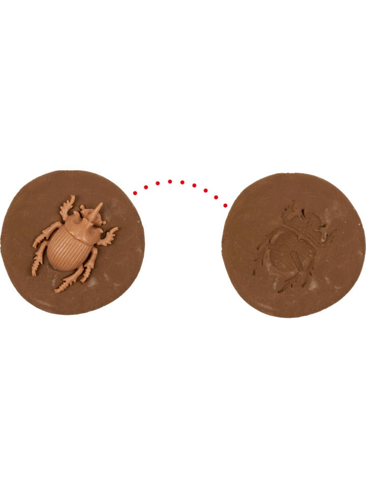 Die Spiegelburg Fossil zum Selbermachen 