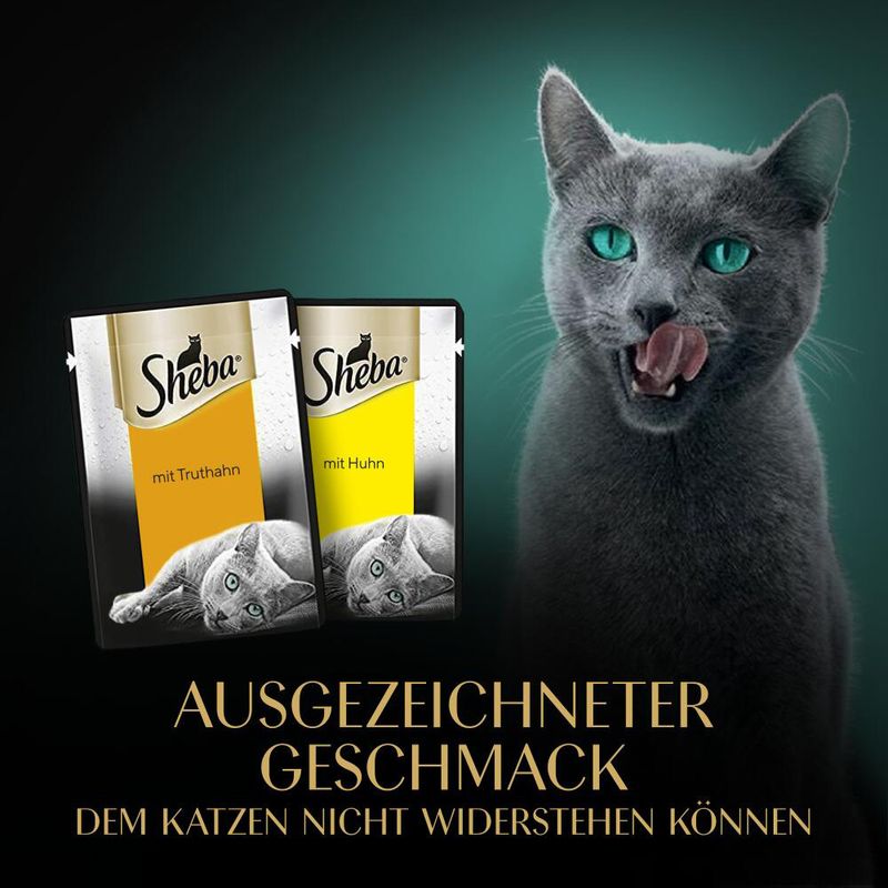 Sparpaket Sheba Fresh & Fine 72 x 50 g zu TOP-Preisen | bitiba %