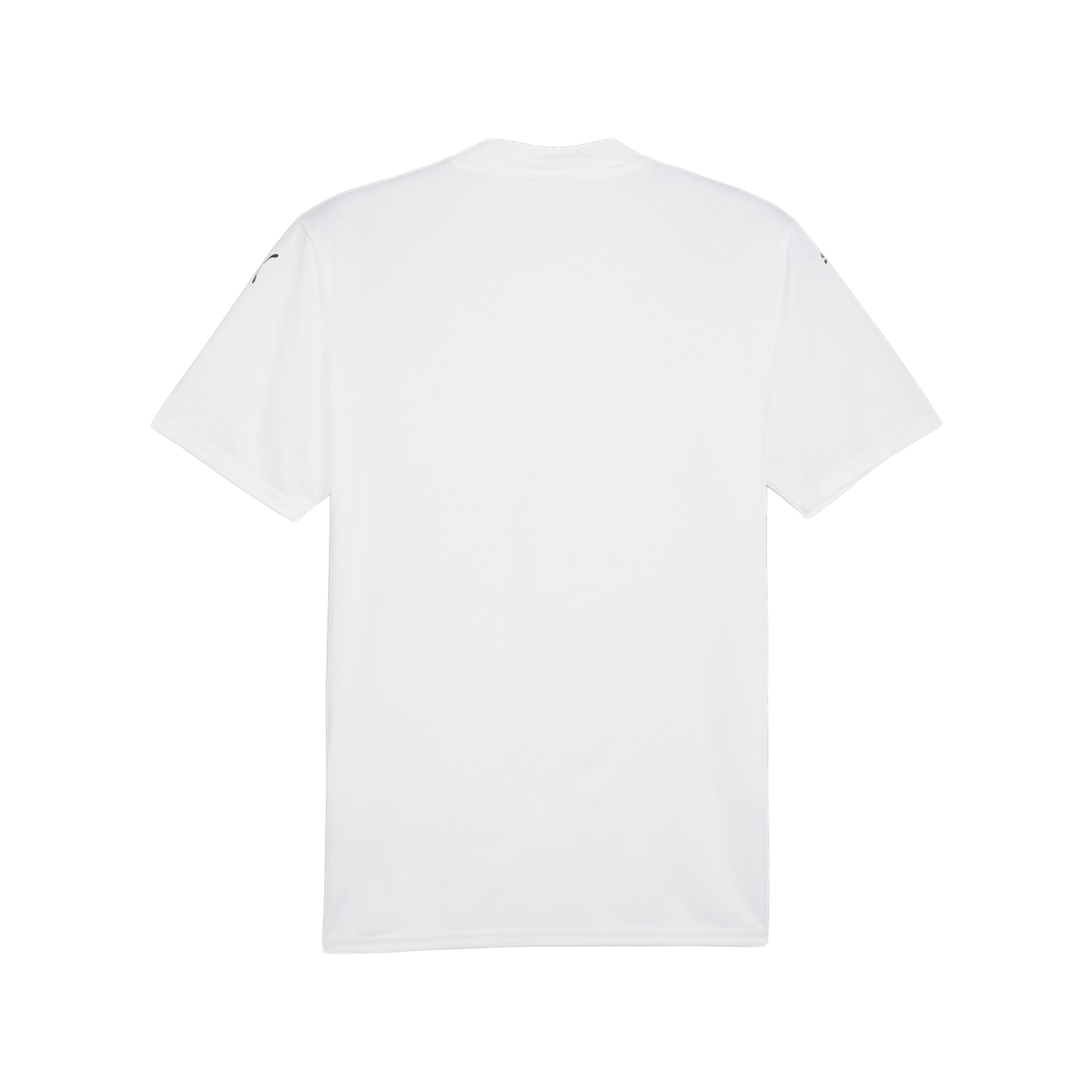 PUMA teamGLORY Trikot Weiss Schwarz Grau F04