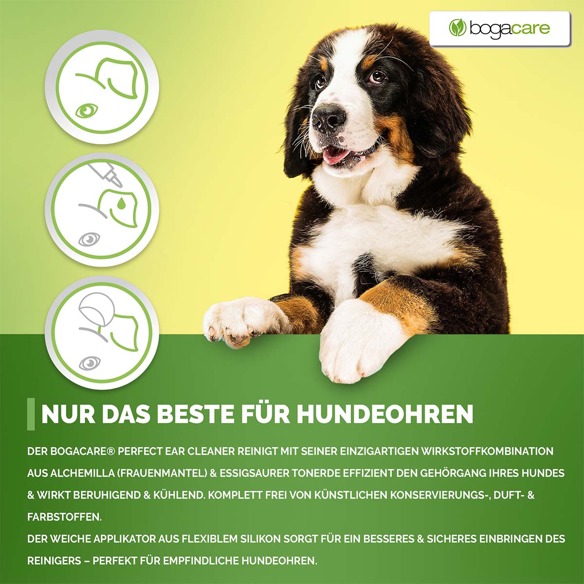 bogacare Perfect Ohr- Reiniger Hund 125 ml kaufen bei ZooRoyal