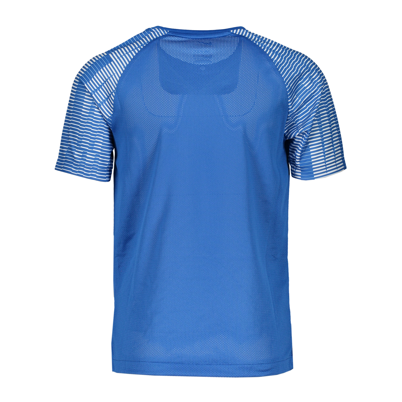 Nike Academy Trikot Kids Blau F463