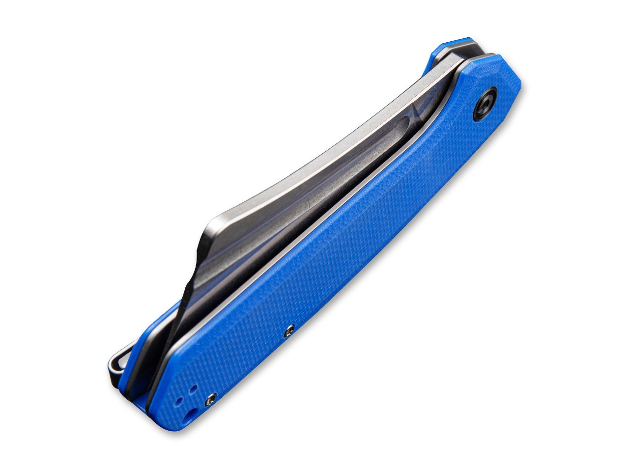 Bullmastiff G10 Blue