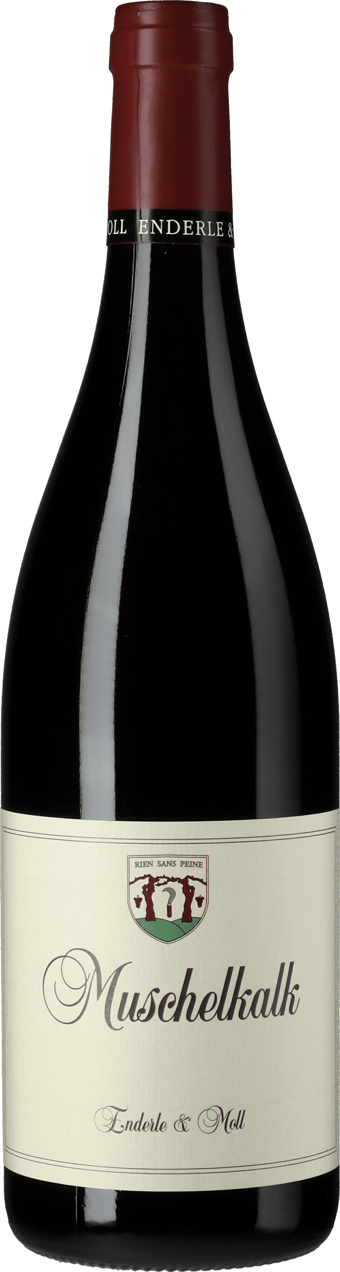 Enderle & Moll: Pinot Noir Muschelkalk 2022