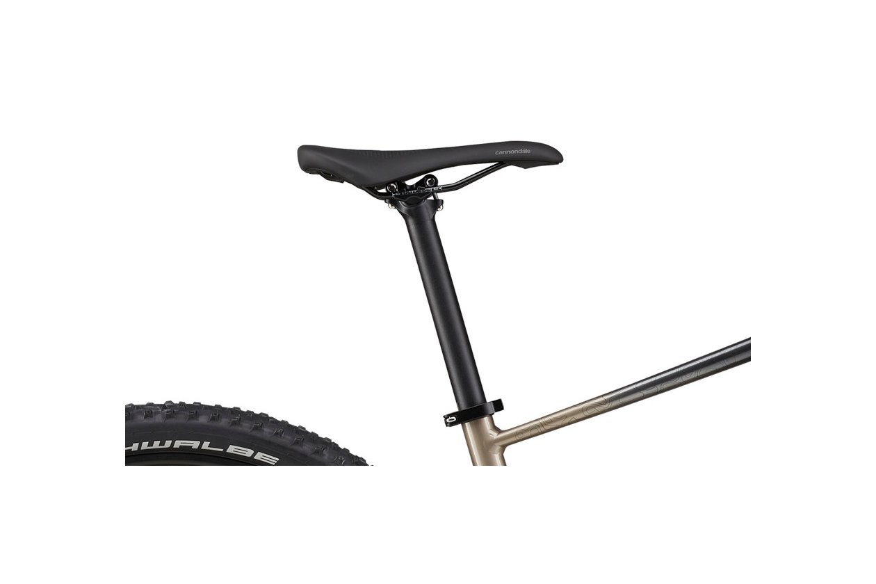 Cannondale Trail SL 1 - 2021 - 29 Zoll - Diamant