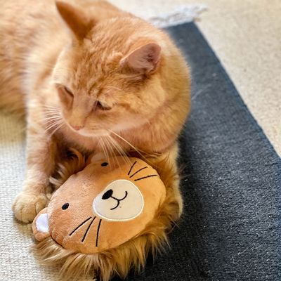 Aumüller Katzenspielkissen Leo Löwe