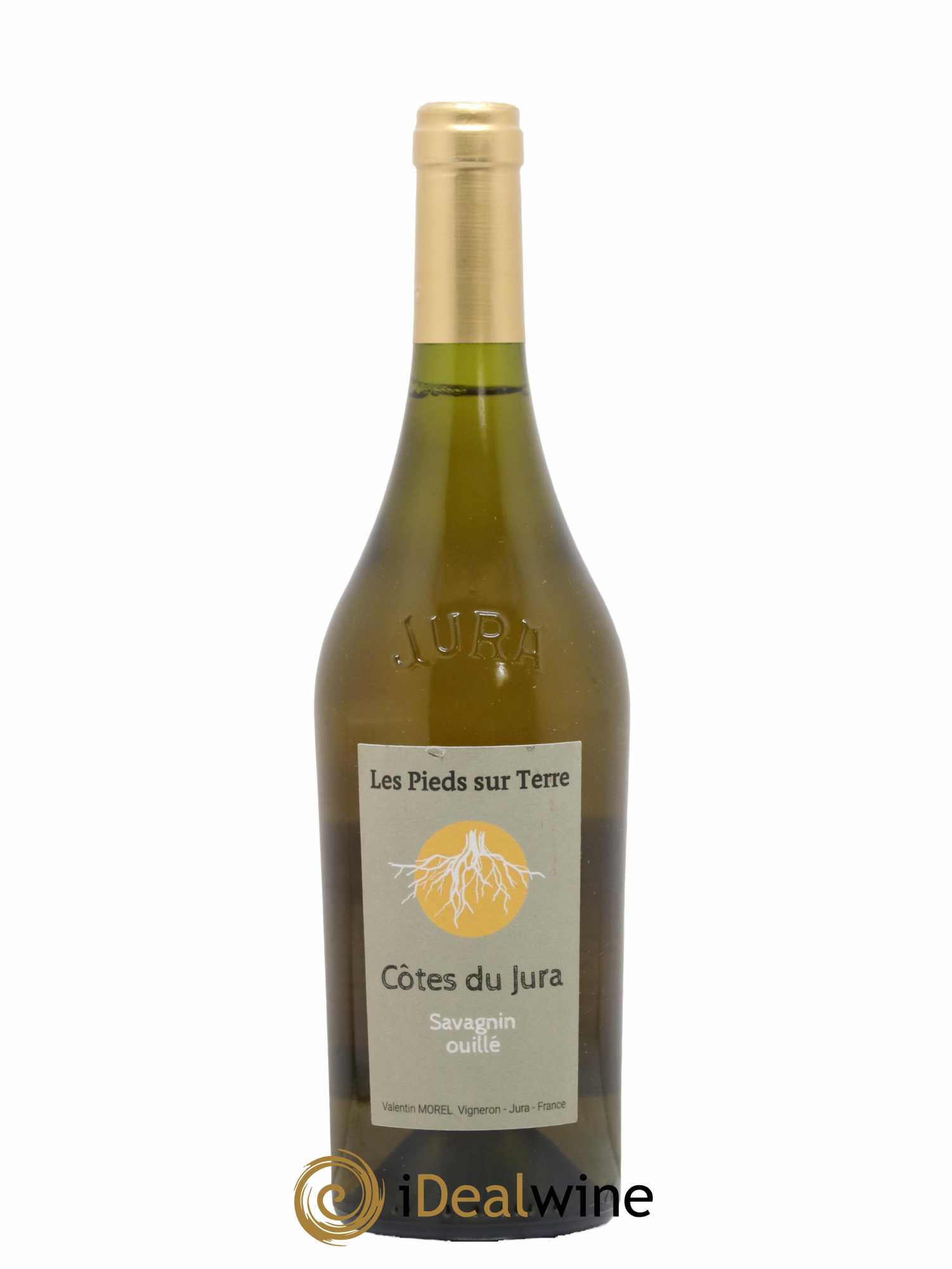 Côtes du Jura Savagnin Ouillé Les Pieds sur Terre Valentin Morel  2018 - Lot de 1 Bouteille