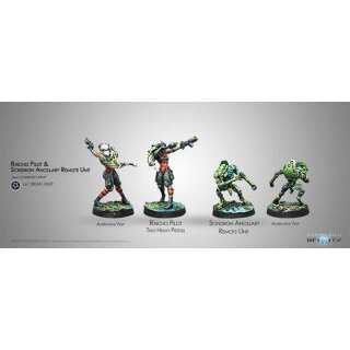 Combined Army Raicho Pilot & Scindron Ancillary Remote Unit