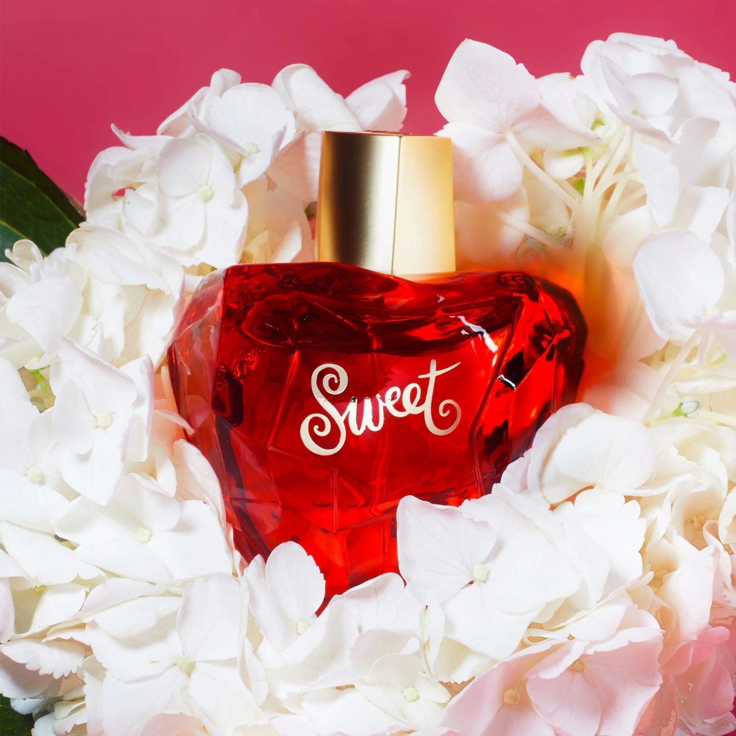 Slatka Lolita Lempicka