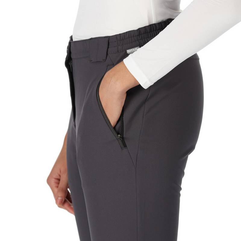 Regatta Questra IV Wanderhose Damen
