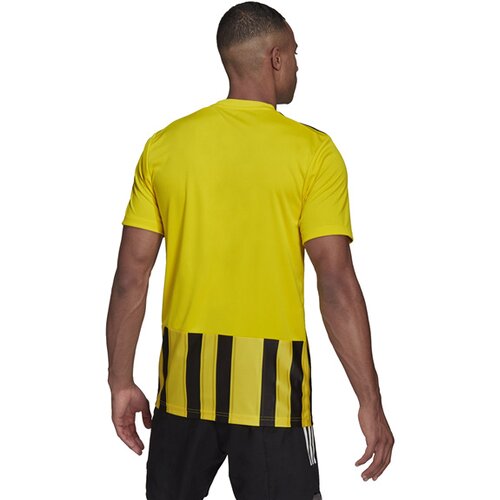 HERREN TRIKOT STRIPED 21