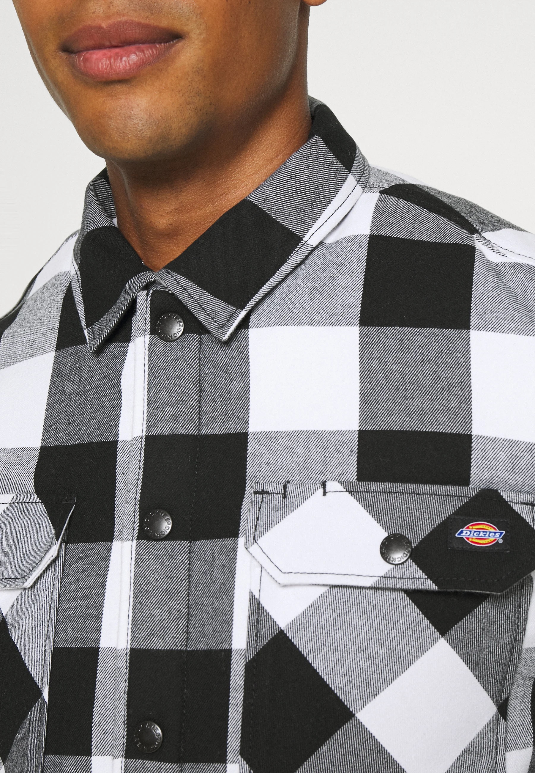 Dickies SACRAMENTO - Chaqueta de entretiempo