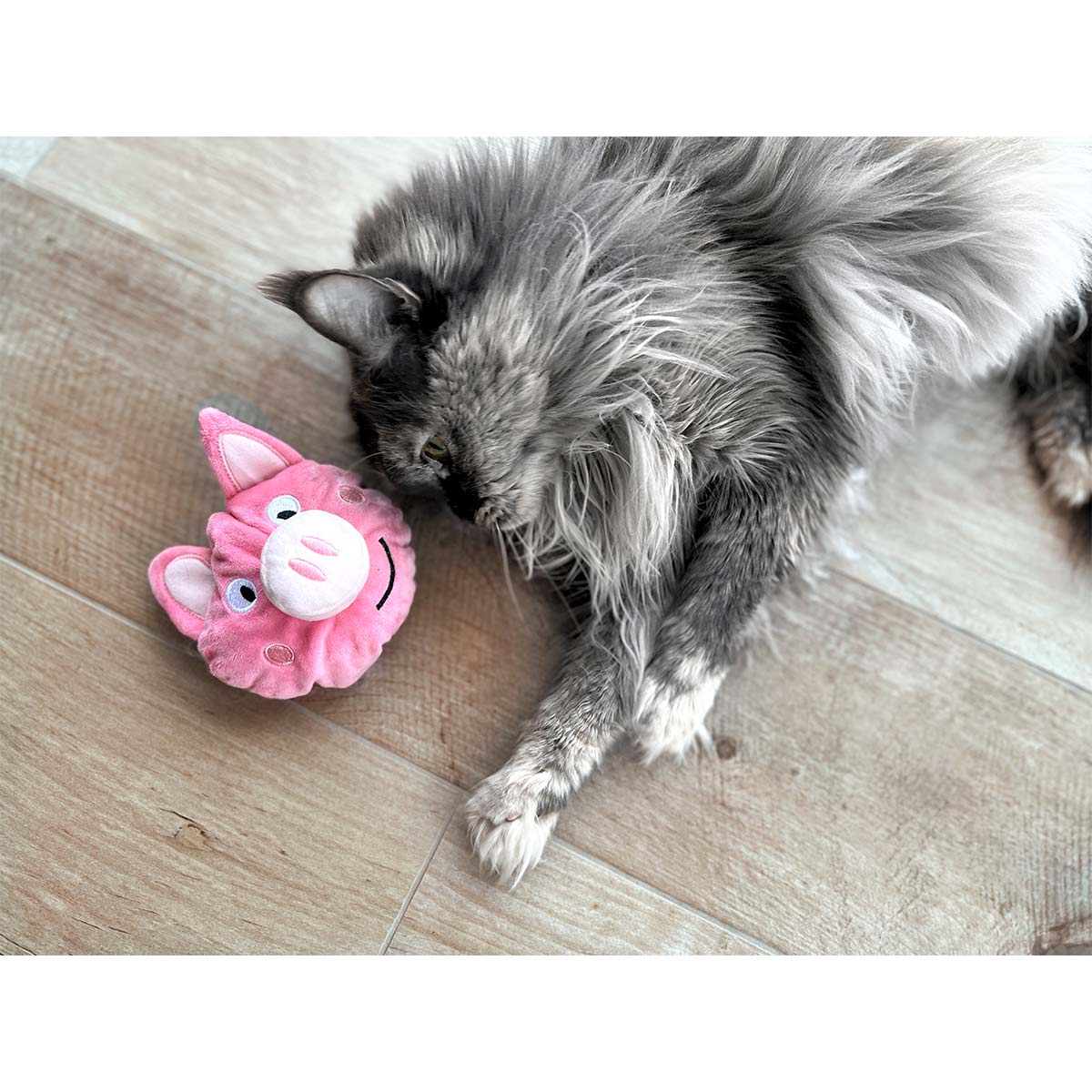 Aumüller Katzenspielkissen Schweinchen Peggy kaufen