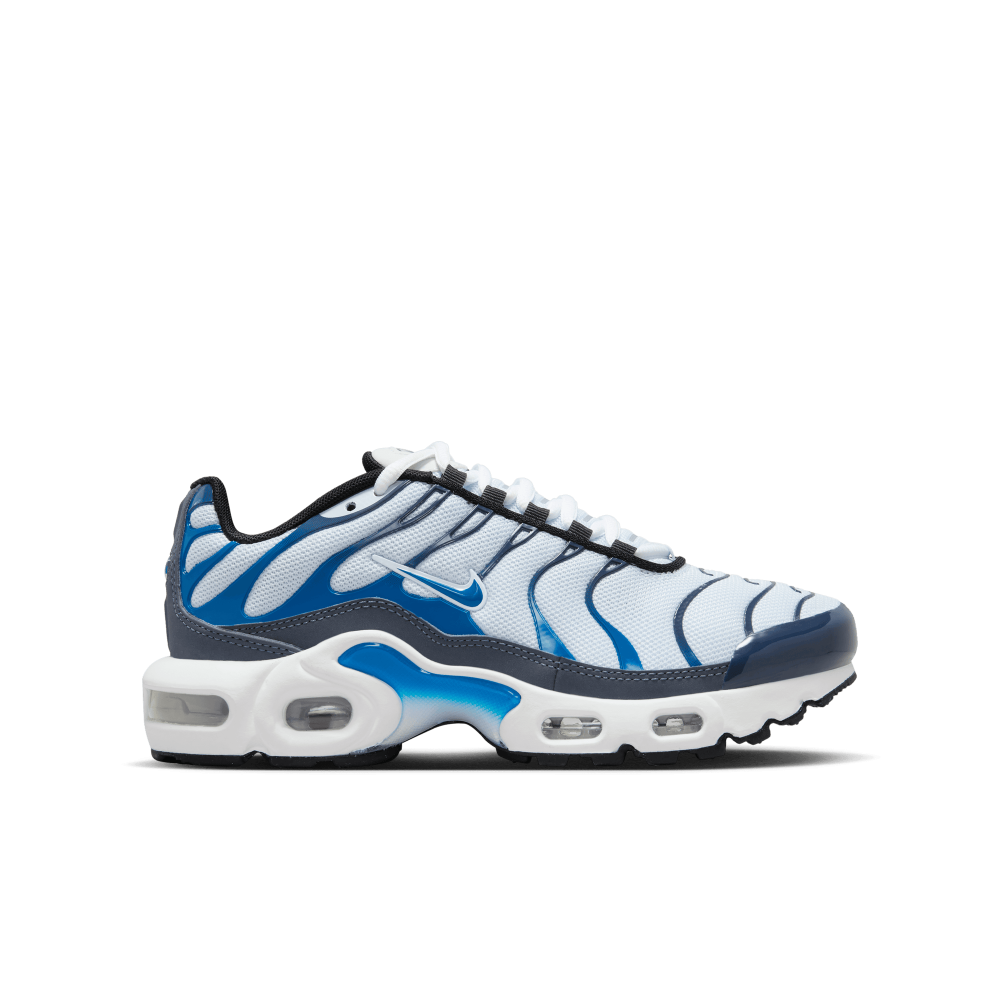 Nike Air Max CD0609-409 / blau