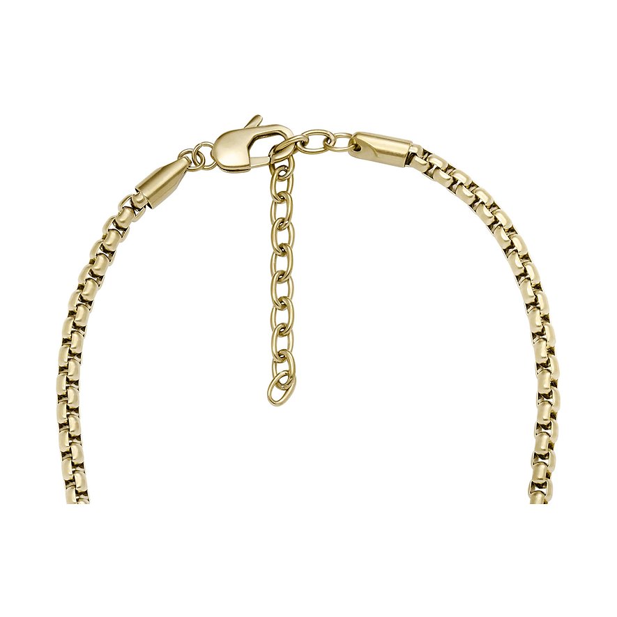 Fossil Kette