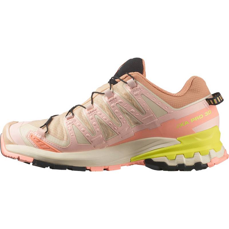 Salomon XA PRO 3D V9 Multifunktionsschuhe Damen