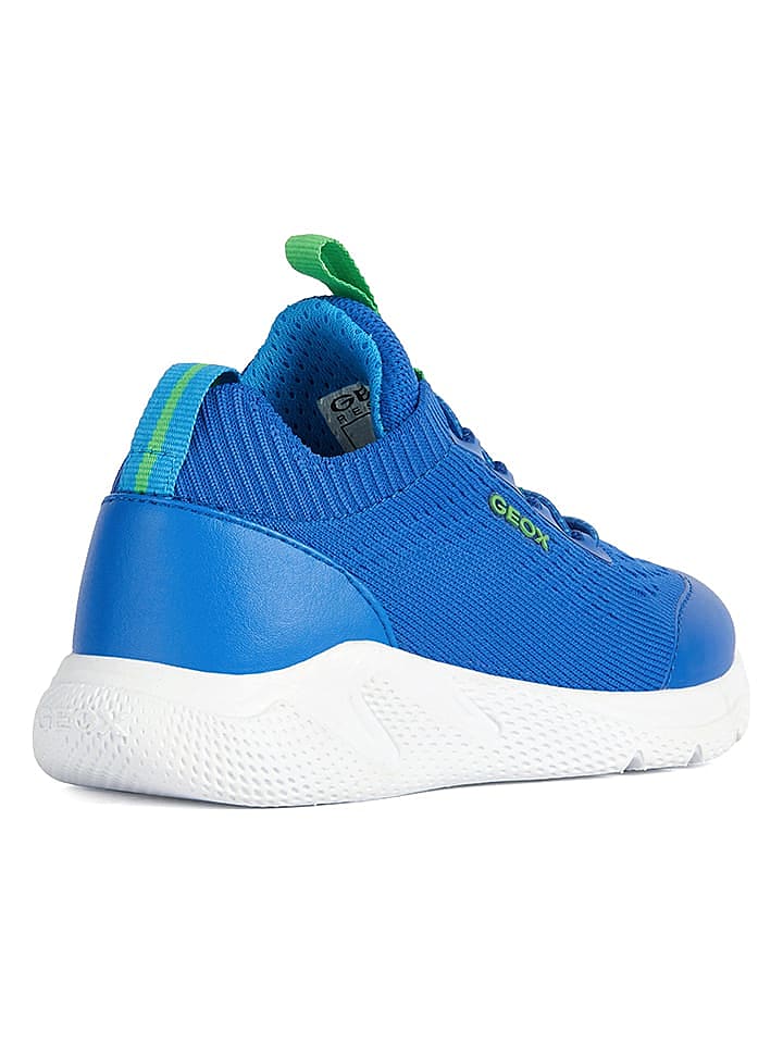 Geox Sneakers 