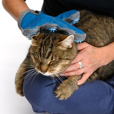 Fellpflege Handschuh