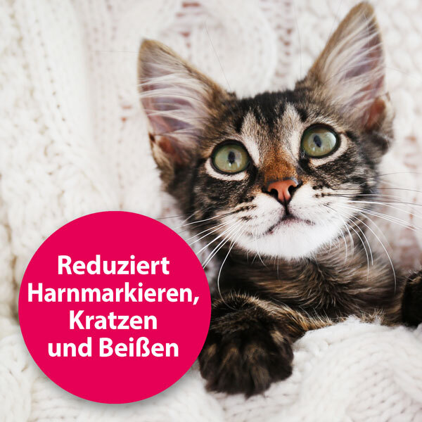 Felisept Beruhigungsmittel Felisept Home Comfort Beruhigungshalsband für Katzen