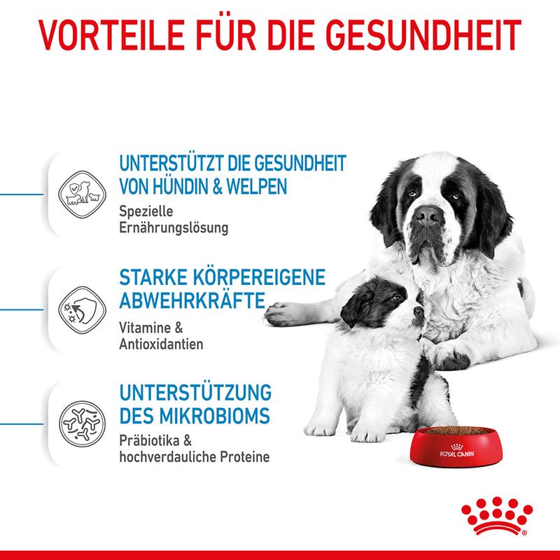 Royal Canin Giant Starter Mother & Babydog