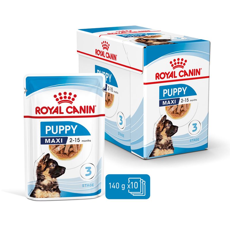 Royal Canin Maxi Puppy in Soße