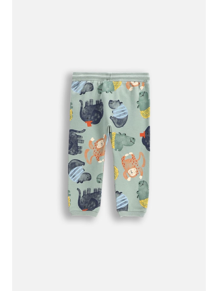 Coccodrillo Jogginghose in khaki günstig kaufen