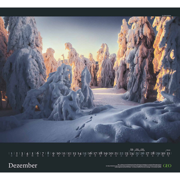 GEO KALENDER: SEHNSUCHT WALD 2024 - WAND-KALENDER - Kalender