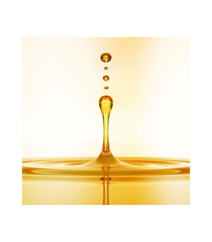 REVLON PROFESSIONAL-OROFLUIDO-Original Elixir à l'Huile d'Argan, cheveux secs