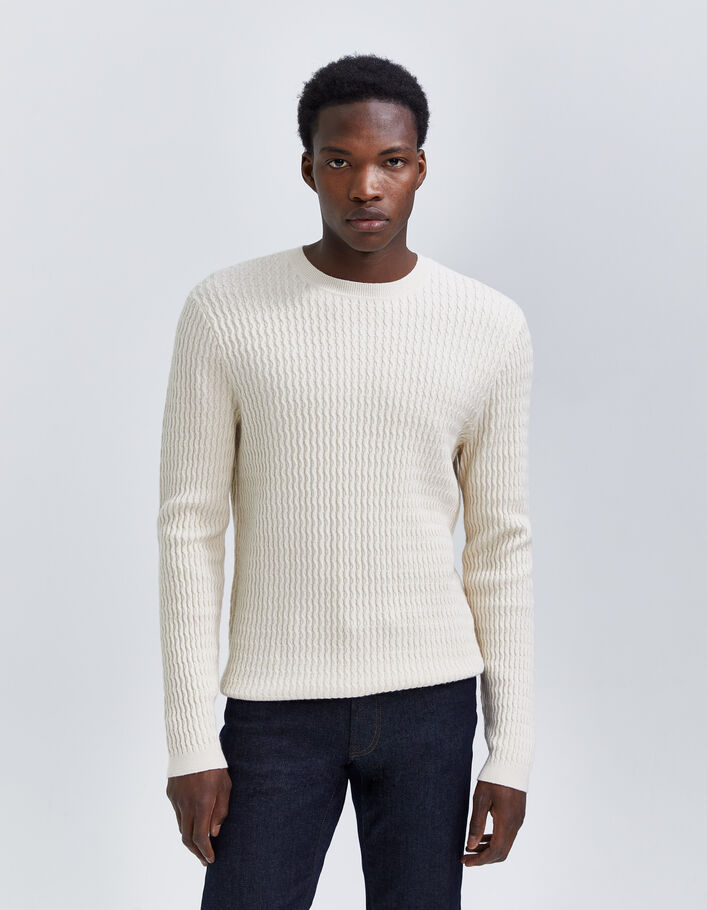 Pull coloris naturel tricot reliefé Homme