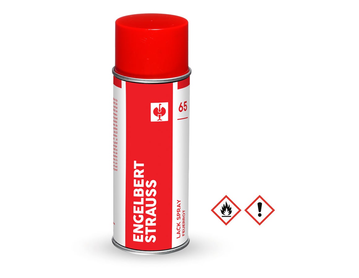 e.s. Lackspray #65