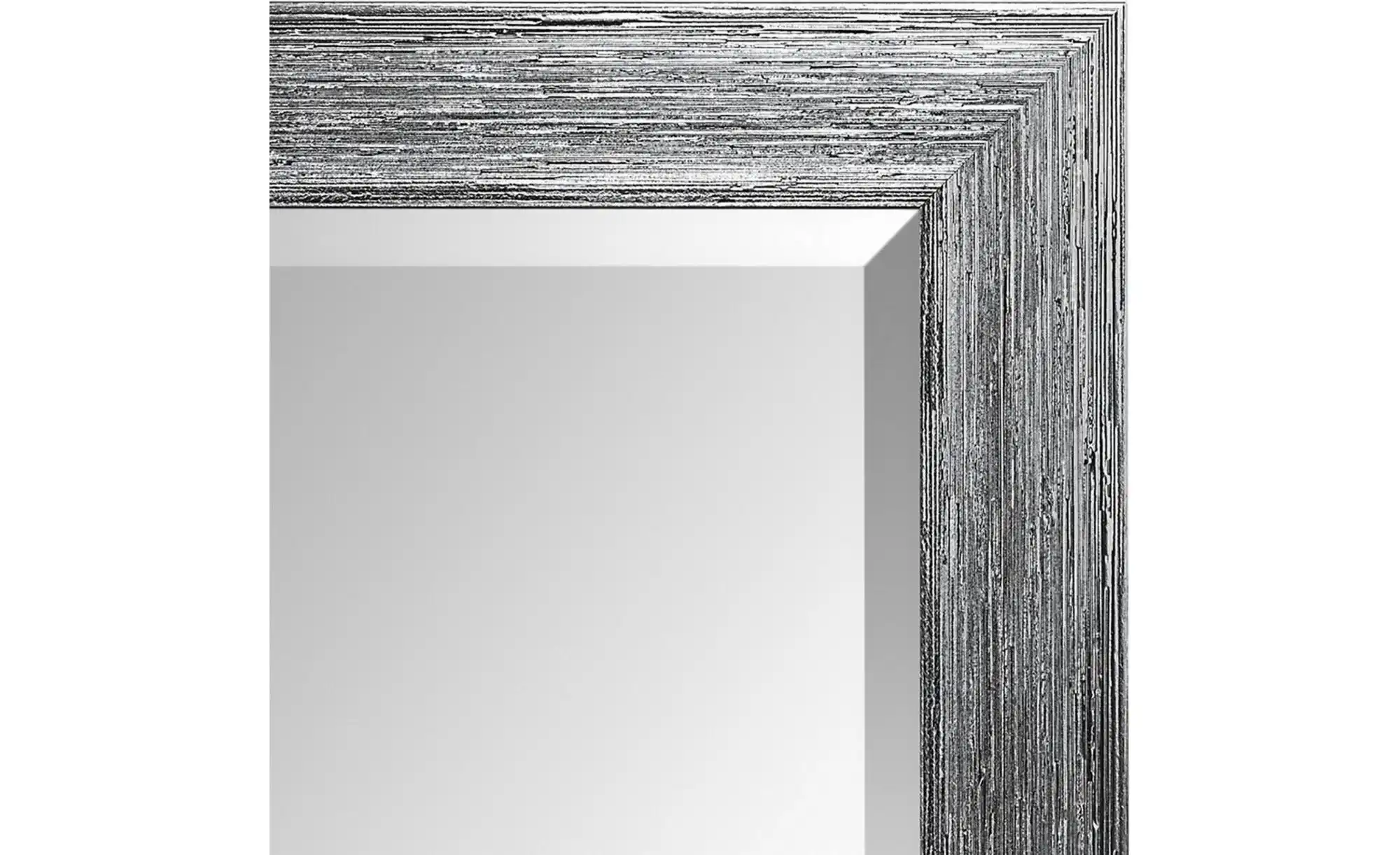 Spiegel 63 x 163 cm