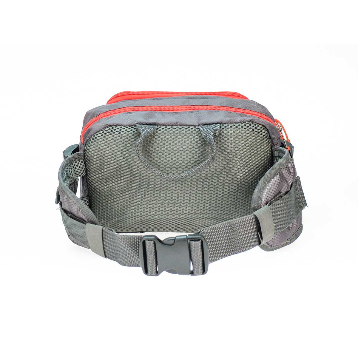 iEnergy PAT Gürteltasche für Hundebesitzer kaufen