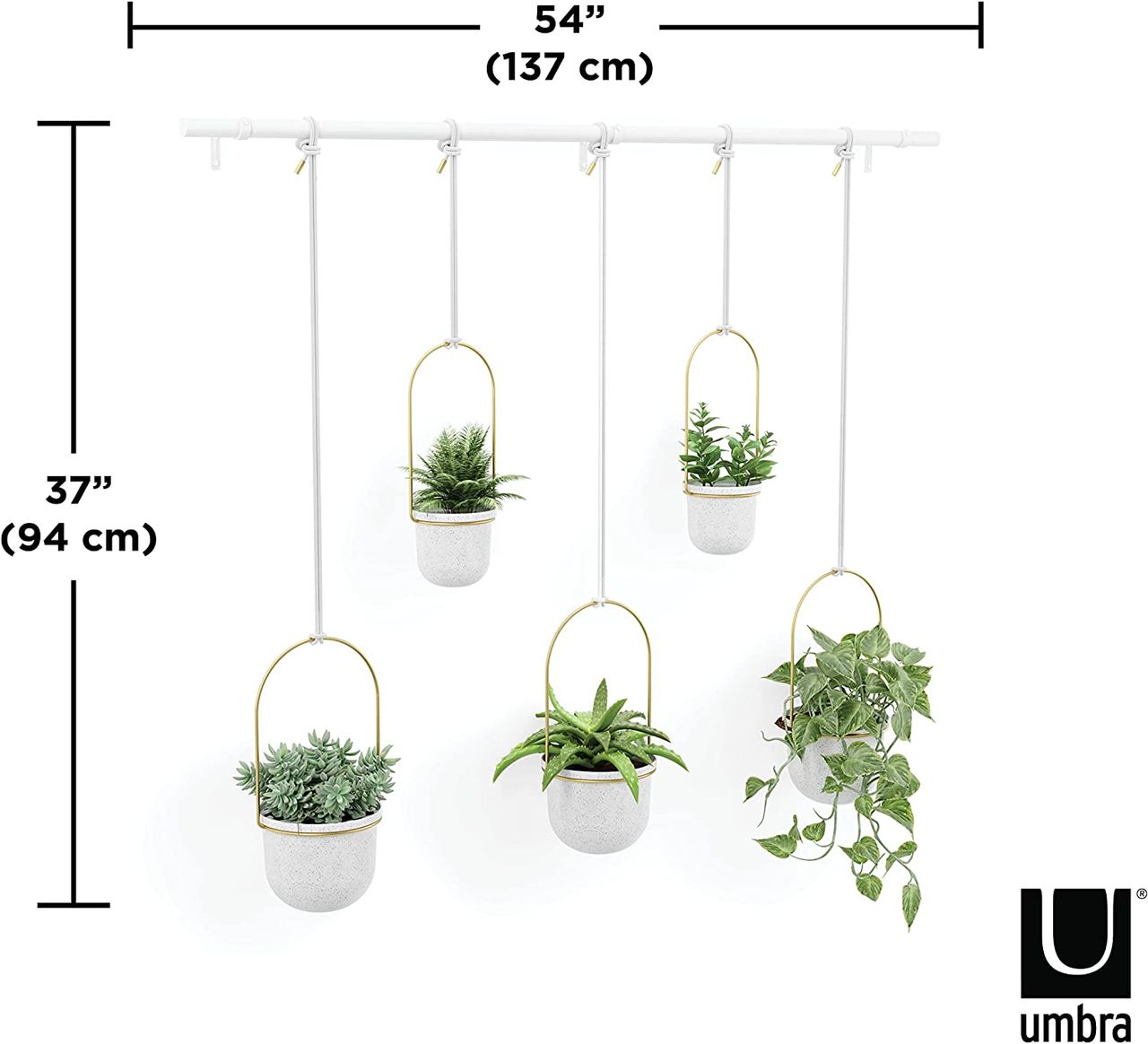 trends4cents Umbra Triflora BRASS Hängeblumentopf, Wandvase, Blumentopf, Blumenampel für Wand-& Deckenanbringung