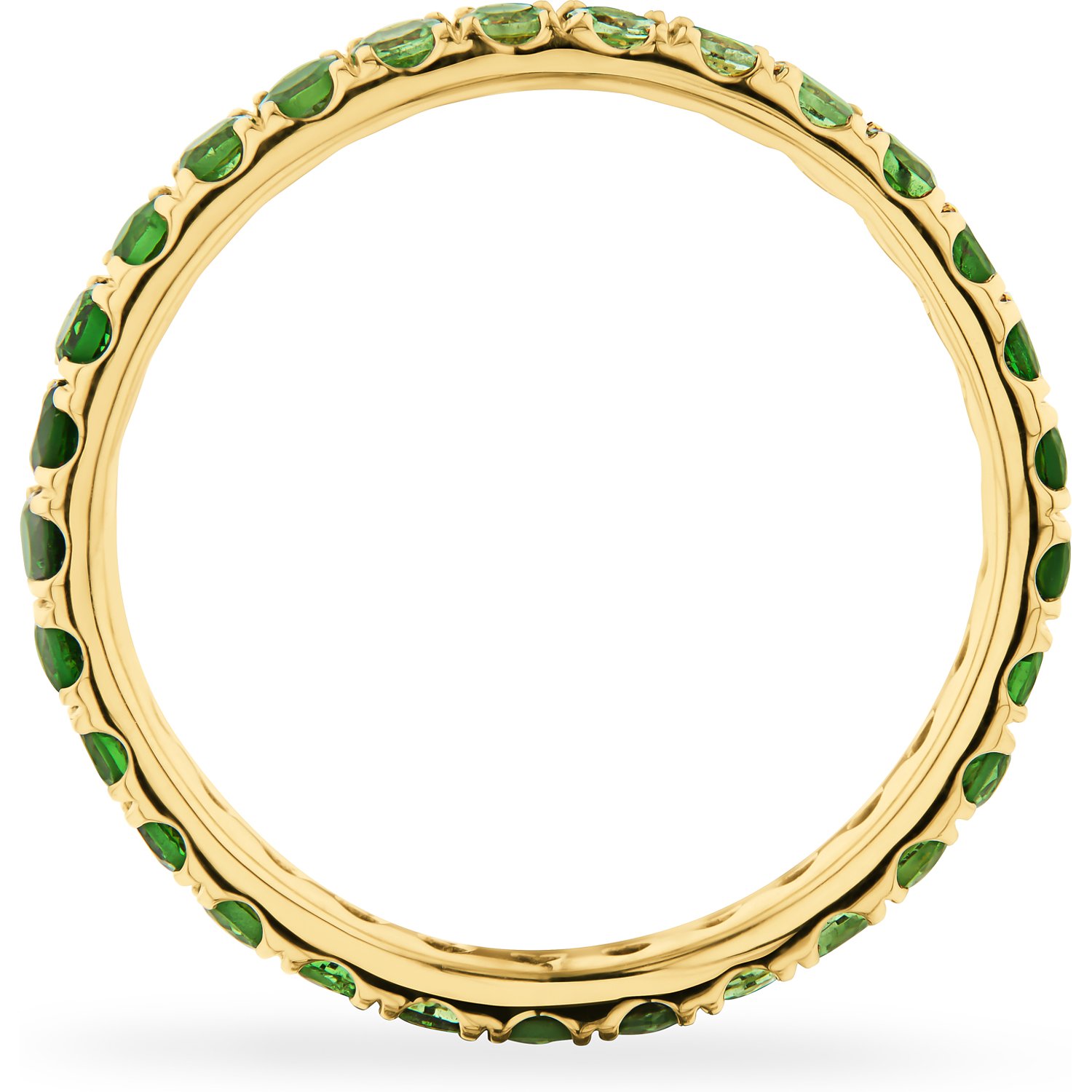 GUÍA Anillos Verdes