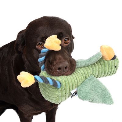 TIAKI Hundespielzeug Aral Seagull