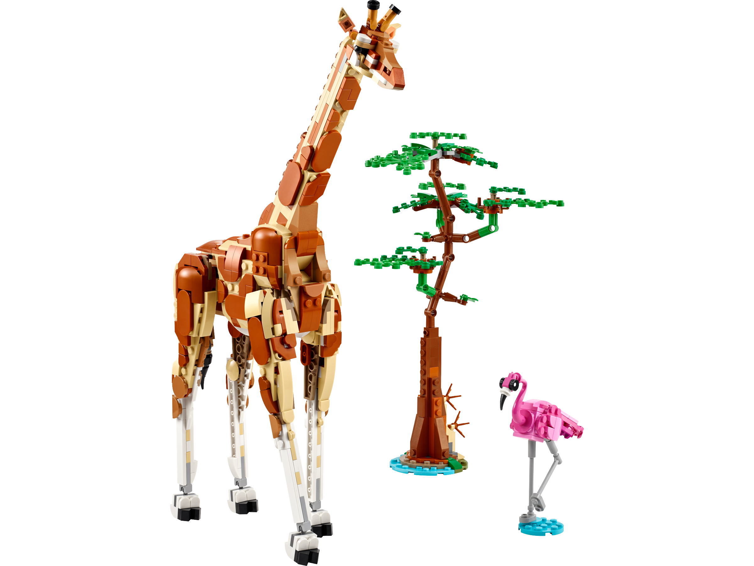 Tiersafari 31150