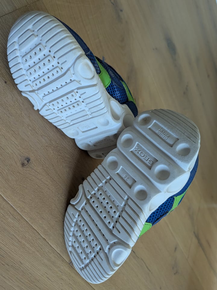 Geox Sneakers 