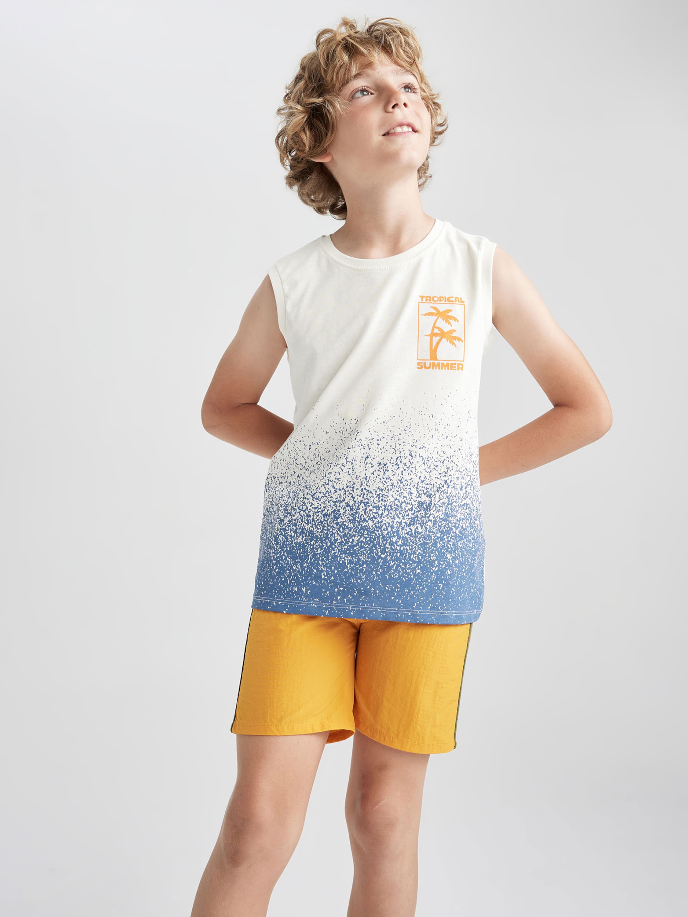 Board Shorts