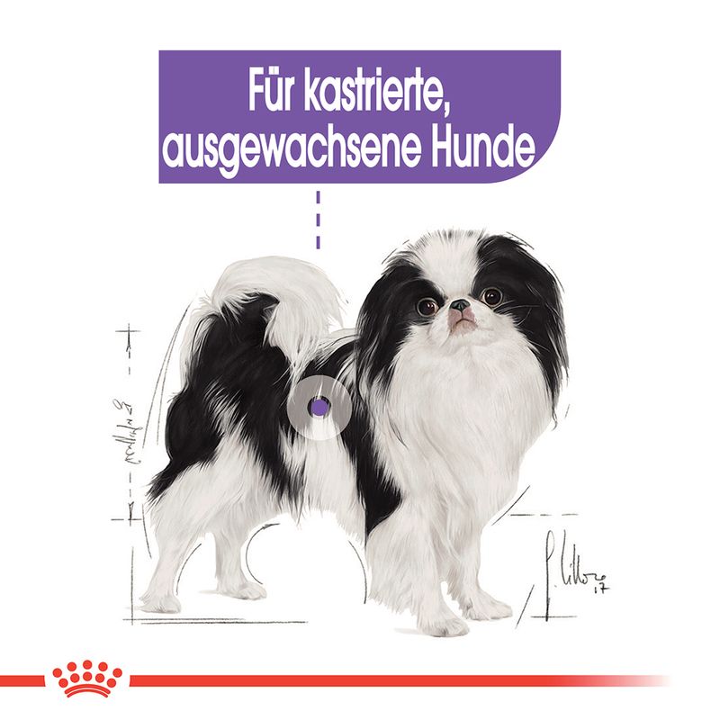 Royal Canin X-Small Sterilised