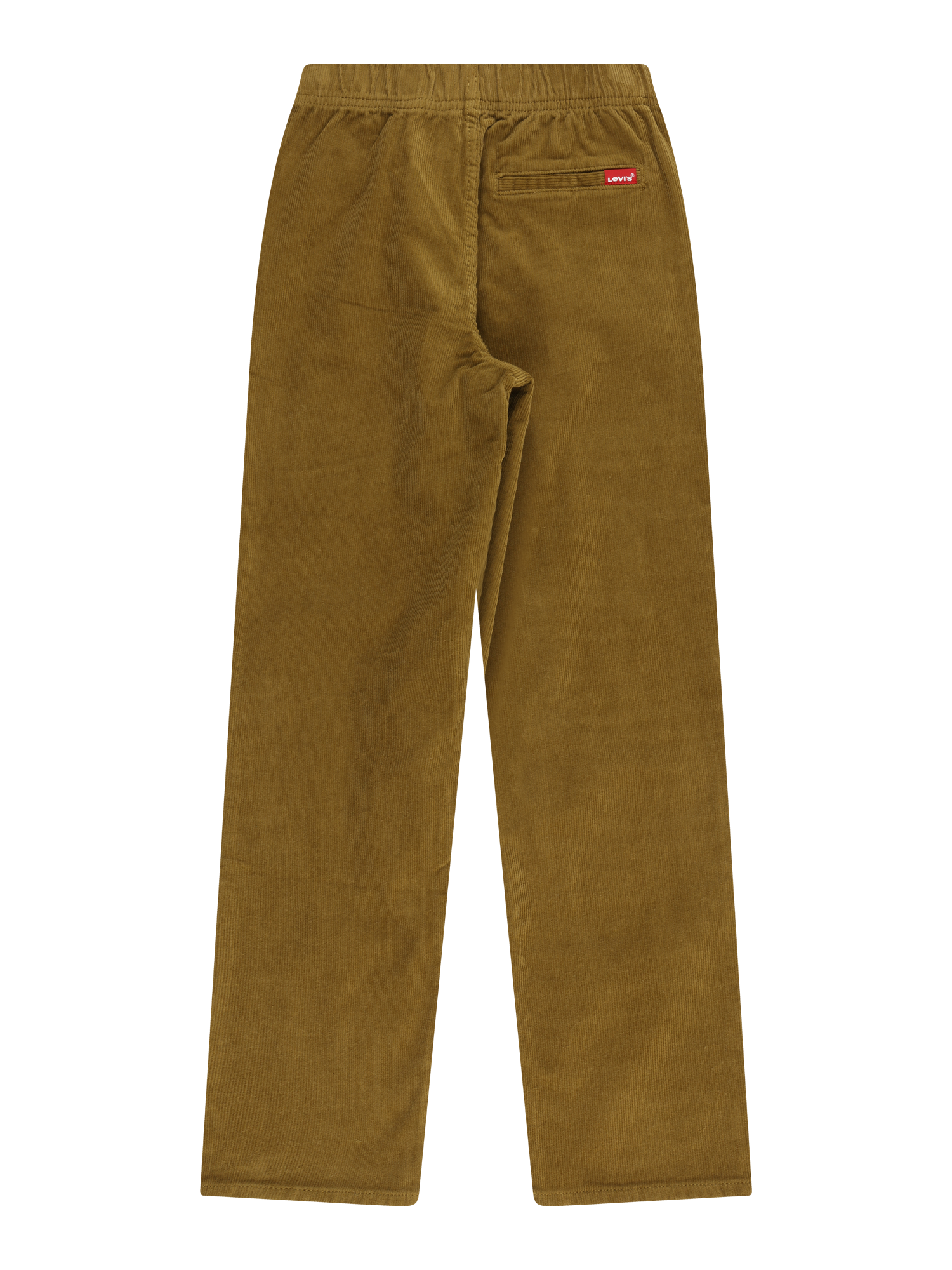 Regular Pants