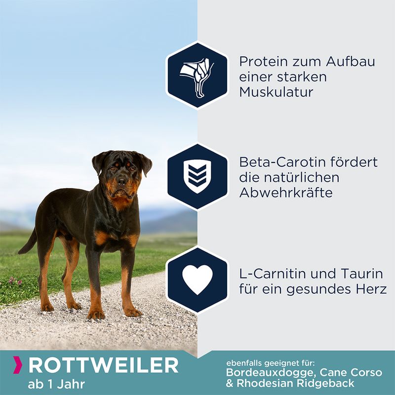 Eukanuba Adult Breed Specific Rottweiler zu TOP-Preisen | bitiba