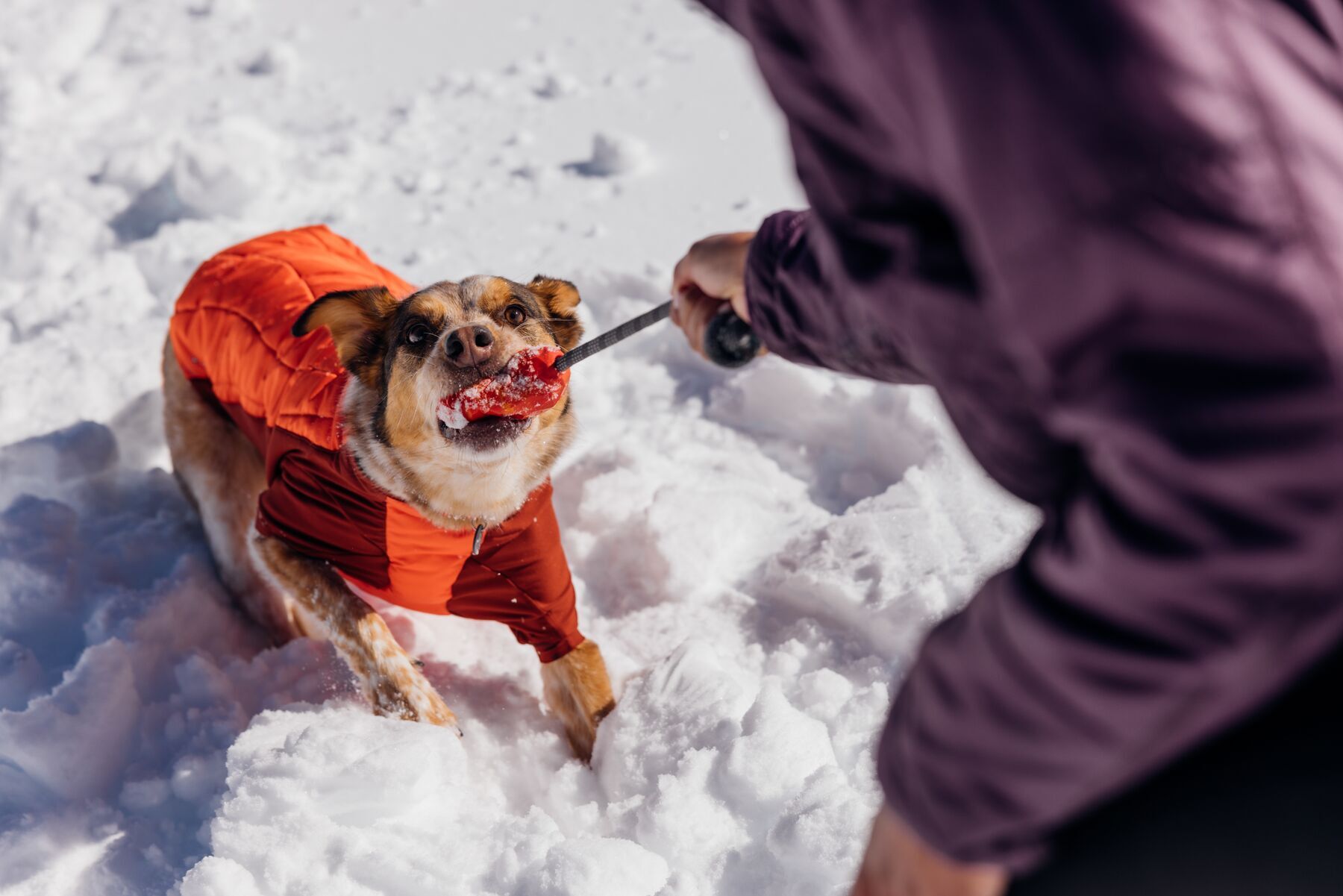 Ruffwear Frisbees & Wurfspielzeug Ruffwear Huck-a-Cone™ Spielzeug rot