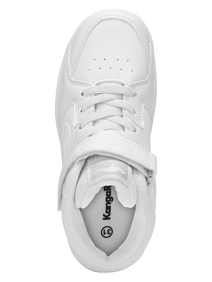 Kangaroos Sneakers 